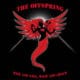 The Offspring - Rise and Fall, Rage and Grace 25