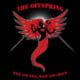 The Offspring - Rise and Fall, Rage and Grace 12