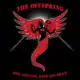 The Offspring - Rise and Fall, Rage and Grace 7