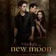Twilight 2 Tentation 6