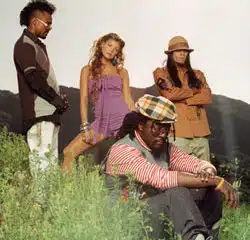 Black Eyed Peas Concert Chicago 14