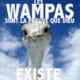 Les Wampas sont la preuve que Dieu existe 25