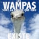 Les Wampas sont la preuve que Dieu existe 6