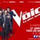 the voice 7