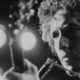 Le 2 novembre 2018, sortira des enregistrements inédits de Bob Dylan dans un album baptisé "More Blood, More Tracks"