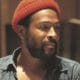 “You’re The Man”, l’album inédit de Marvin Gaye enfin disponible !