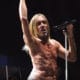 Iggy Pop annonce la sortie de son nouvel album « Free »