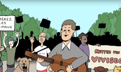 Paul McCartney s'attaque à l'expérimentation animale dans un clip vidéo 6