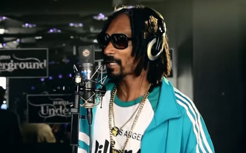 Snoop Dogg berceuses pour enfants