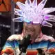 JAMIROQUAI Musilac 2026