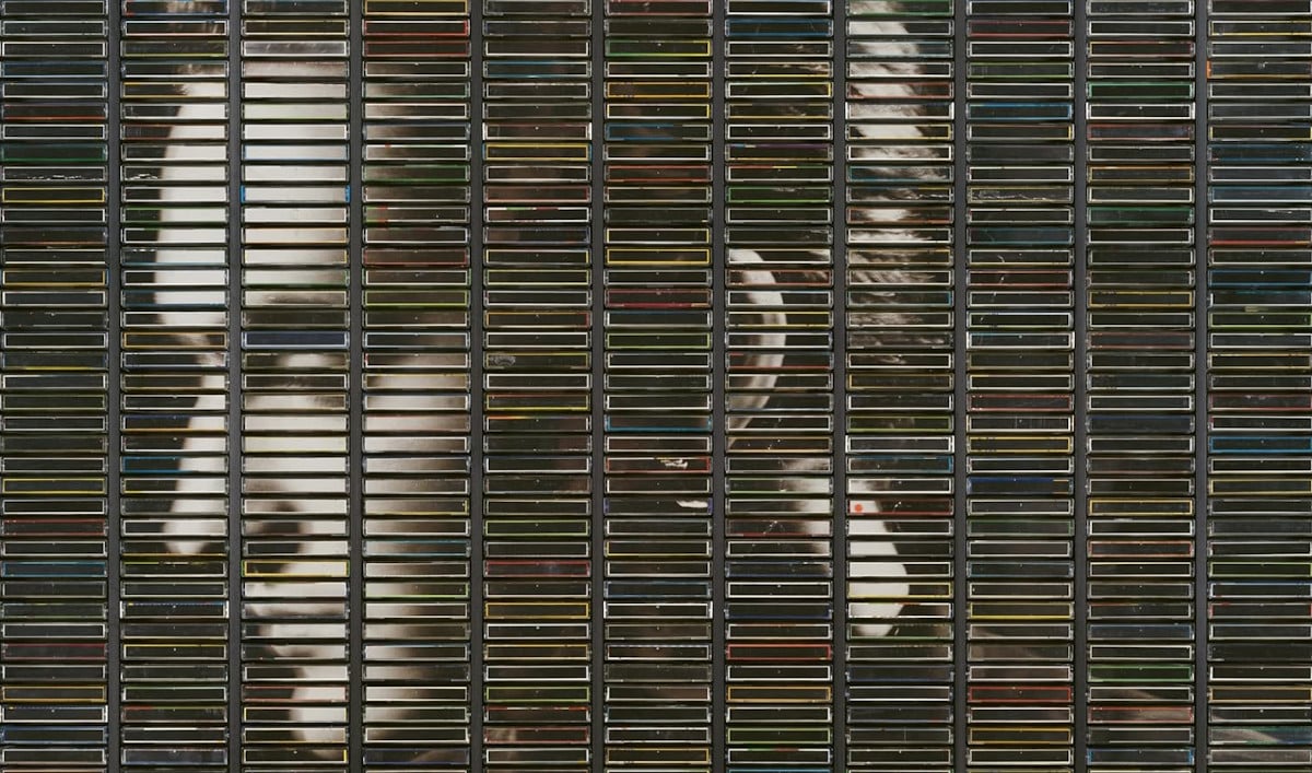 STEPHAN EICHER Poussière D'or