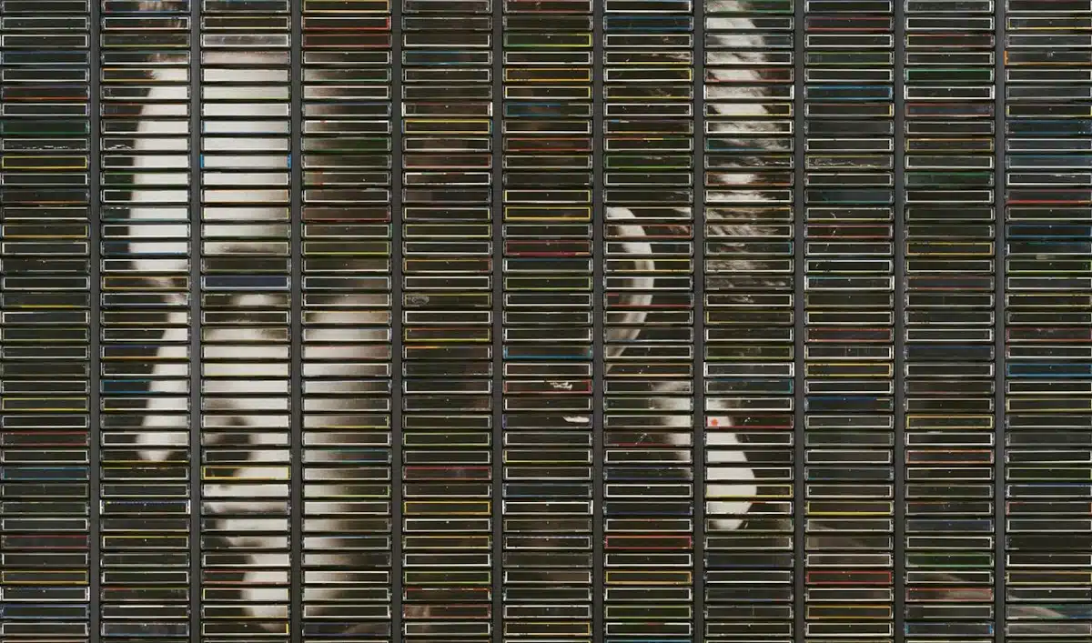 STEPHAN EICHER Poussière D'or