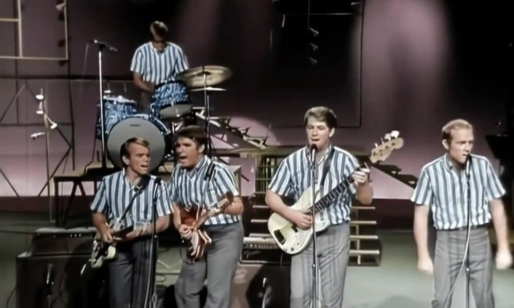 The Beach Boys Adult/Child