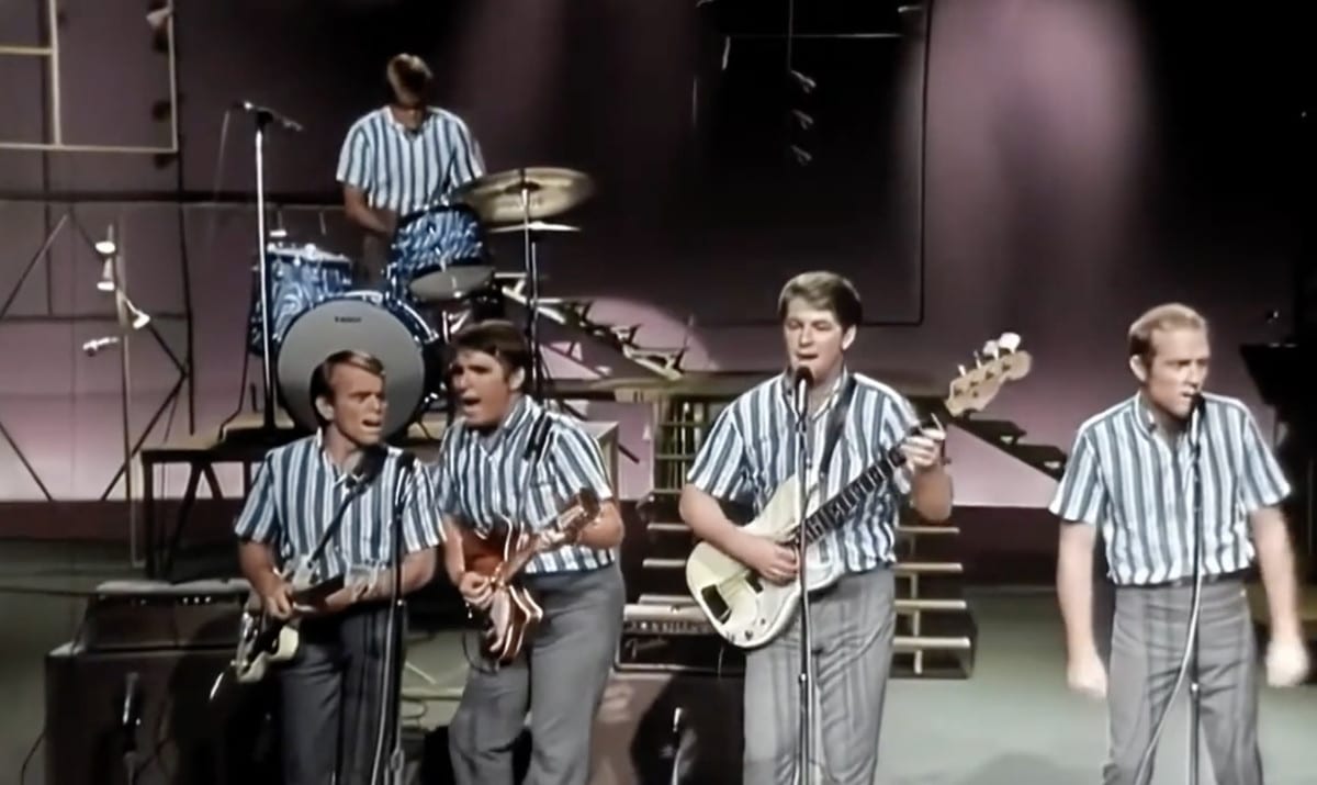 The Beach Boys Adult/Child