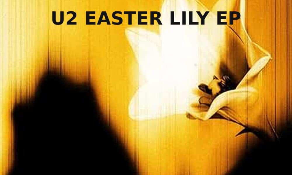 U2 Easter Lily