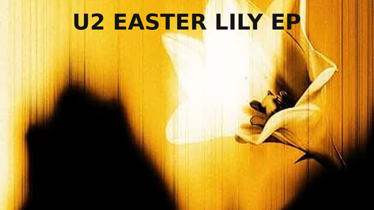 U2 Easter Lily