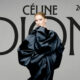 Céline Dion concert 2027