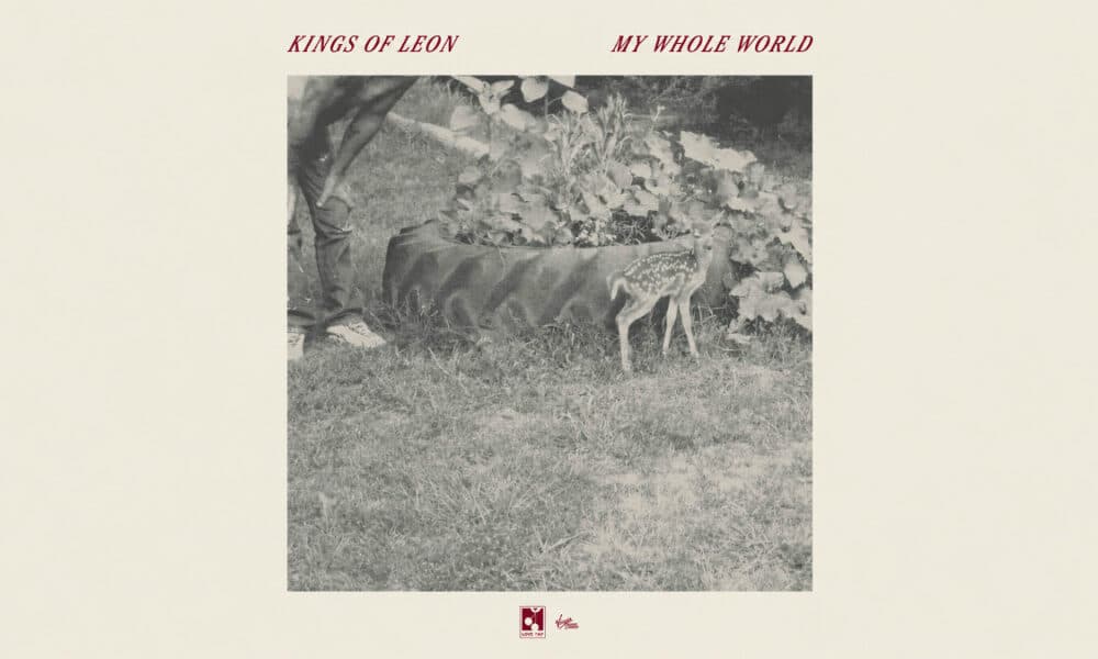 KINGS OF LEON My Whole World